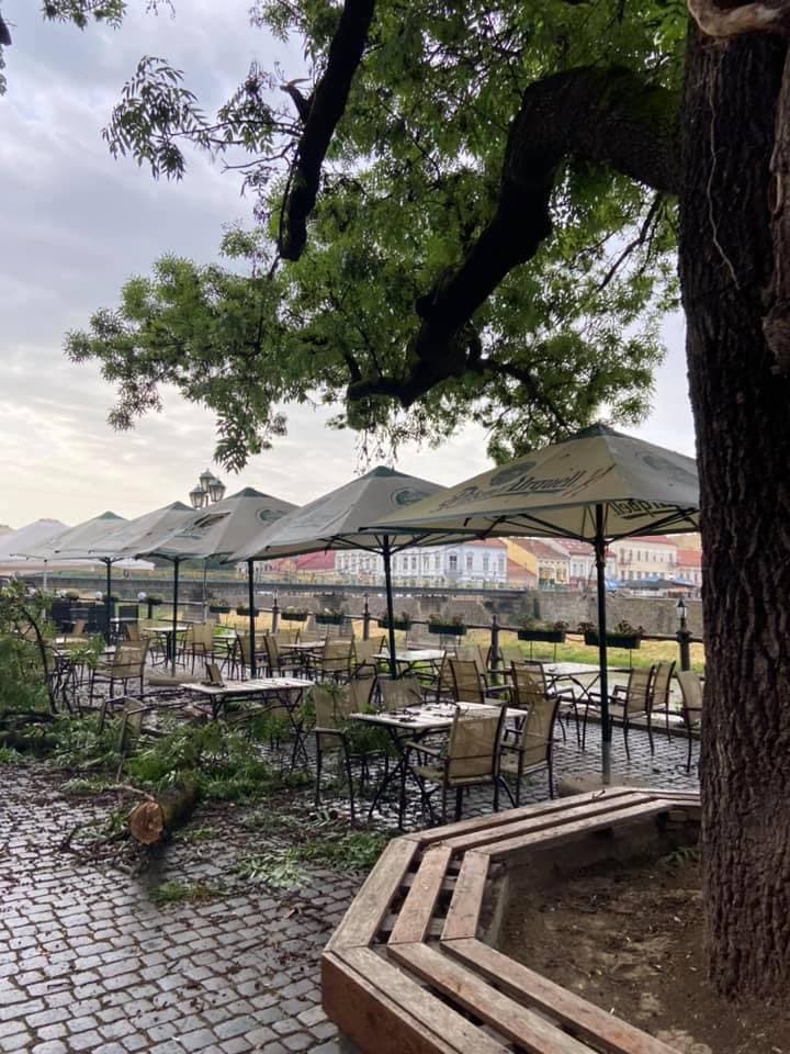 В Ужгороді величезна гілка впала на відвідувачів кафе: з'явилося відео